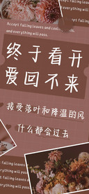 终于看开爱回不来