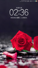 挚爱玫瑰