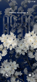 Pro Evening Sakura