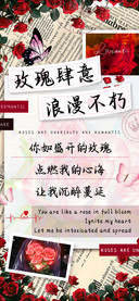 玫瑰肆意浪漫不朽