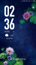 中秋蓝花海
