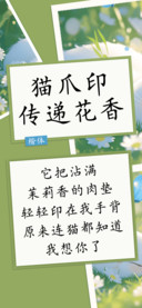 猫爪印传递花香