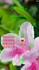 喋血杜鹃