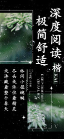 深度阅读极简舒适楷