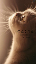 可爱小猫