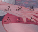 zipcy倾城相候