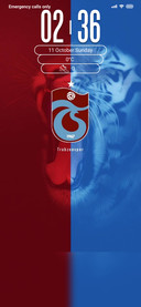 Trabzon spor