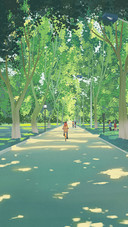 People Riding Bicycles on Tree-lined Paths