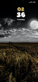 Moon Look