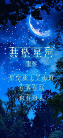 共坠星河宋体