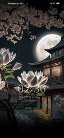 Water moon 