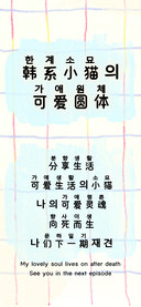 韩系小猫的可爱圆体