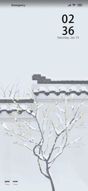 Dynamic snow