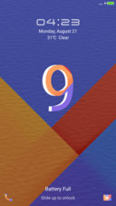 Color 999