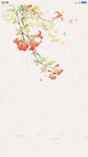 一枝花