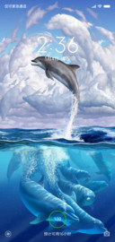 海豚