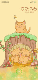 树洞里的小猫