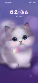 The butterfly cat