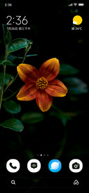 Amber Bloom