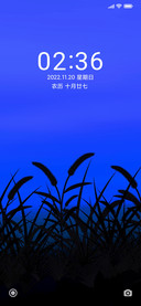 蓝简 狗尾草