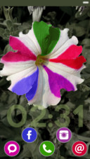  IN Holi Flower