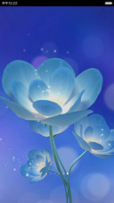 清韵莲花