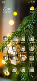 Golden Bauble