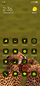 Wildlife 21