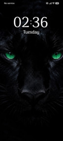 Emerald Gaze