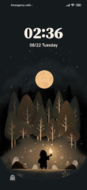 Forest Night