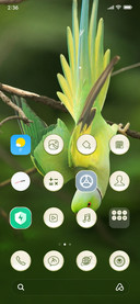Parrots_3MDS