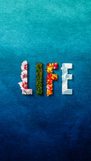 Life word