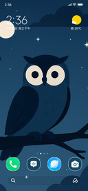 Star Owl