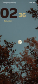 Moon Bloom