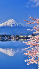 富士山60年来首次封山