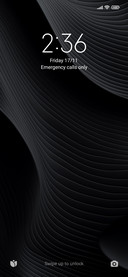 Black streamer
