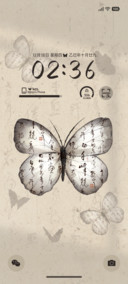 古韵 光影蝴蝶
