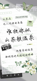 唯独你似山茶般温柔