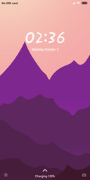 Mount_DWM2