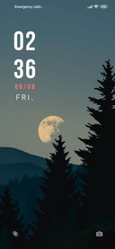 Moon Shadow