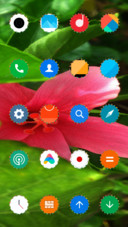 Beauty_DWM3