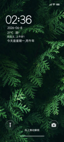 唯美绿叶