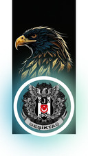 BJK-4
