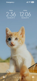 Lalilu Cat
