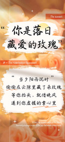 你是落日藏爱的玫瑰