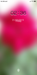 Ind Rose_DWM19