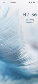 Blue Feather