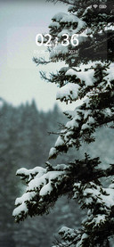 Winter scenery