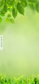 护眼清新