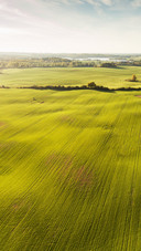 rural countryside scenery